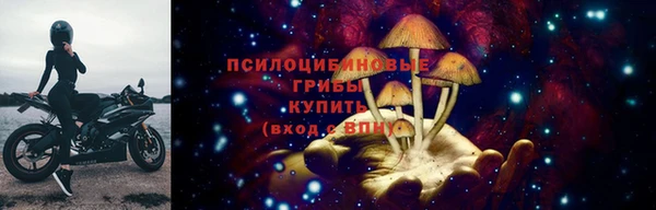 спиды Алексин