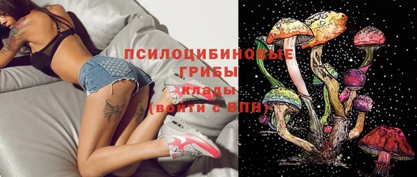 спиды Алексин