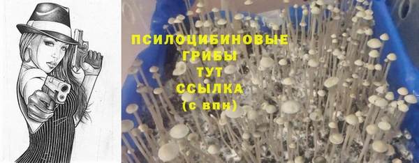 тгк Алзамай
