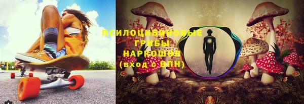 тгк Алзамай