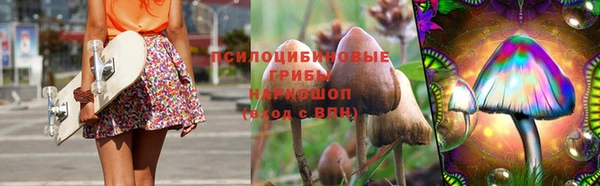 тгк Алзамай