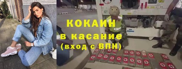тгк Алзамай