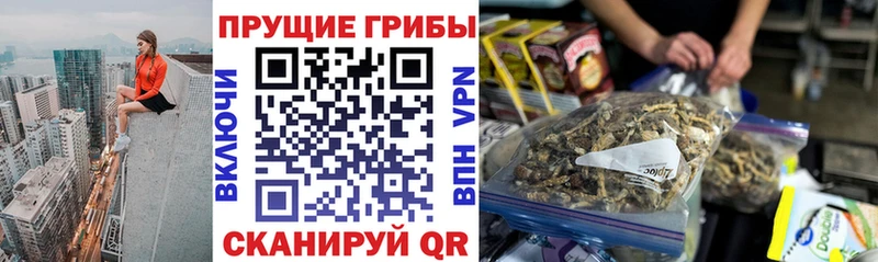 Псилоцибиновые грибы GOLDEN TEACHER  Липки 